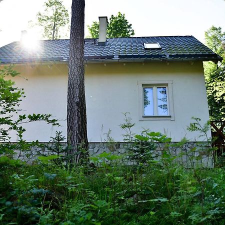 Górski Domek koło Karpacza- Apartamentuj Zewnętrze zdjęcie