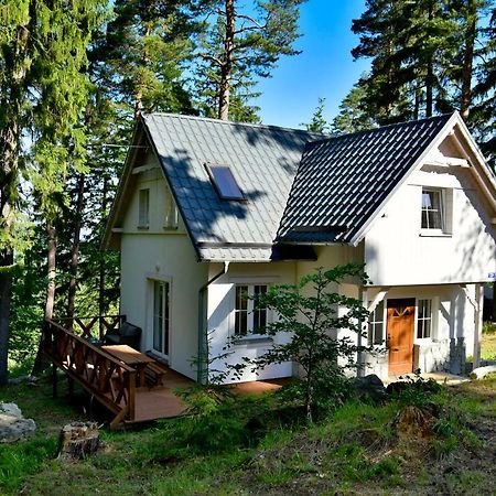 Górski Domek koło Karpacza- Apartamentuj Zewnętrze zdjęcie