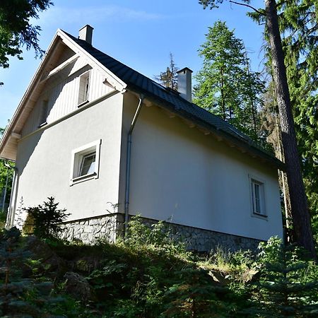 Górski Domek koło Karpacza- Apartamentuj Zewnętrze zdjęcie