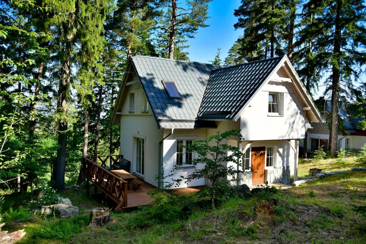 Górski Domek koło Karpacza- Apartamentuj Zewnętrze zdjęcie