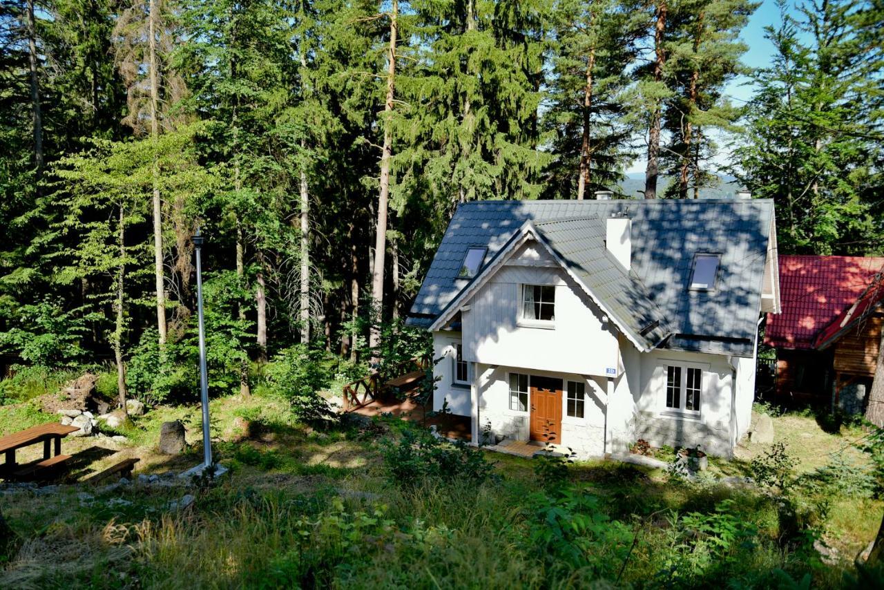 Górski Domek koło Karpacza- Apartamentuj Zewnętrze zdjęcie