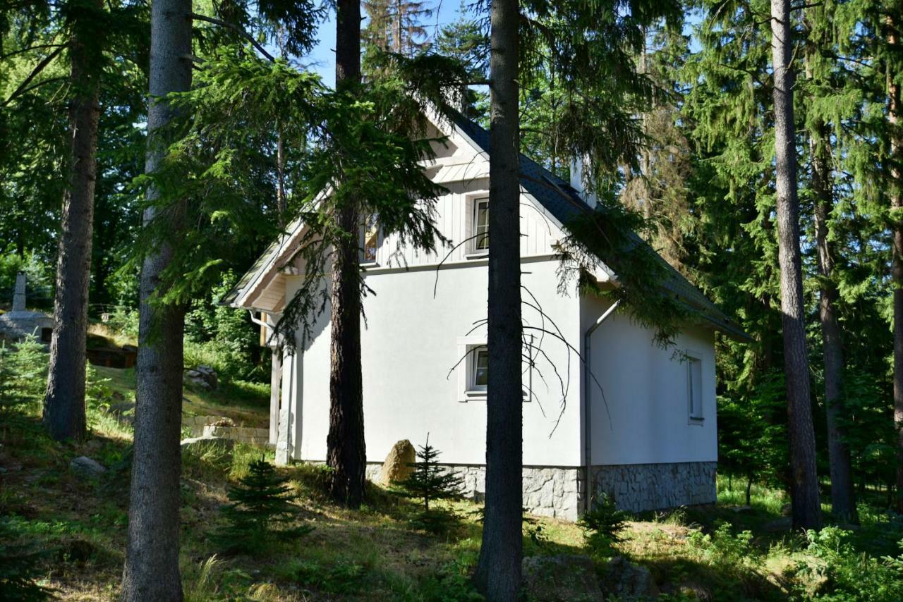 Górski Domek koło Karpacza- Apartamentuj Zewnętrze zdjęcie
