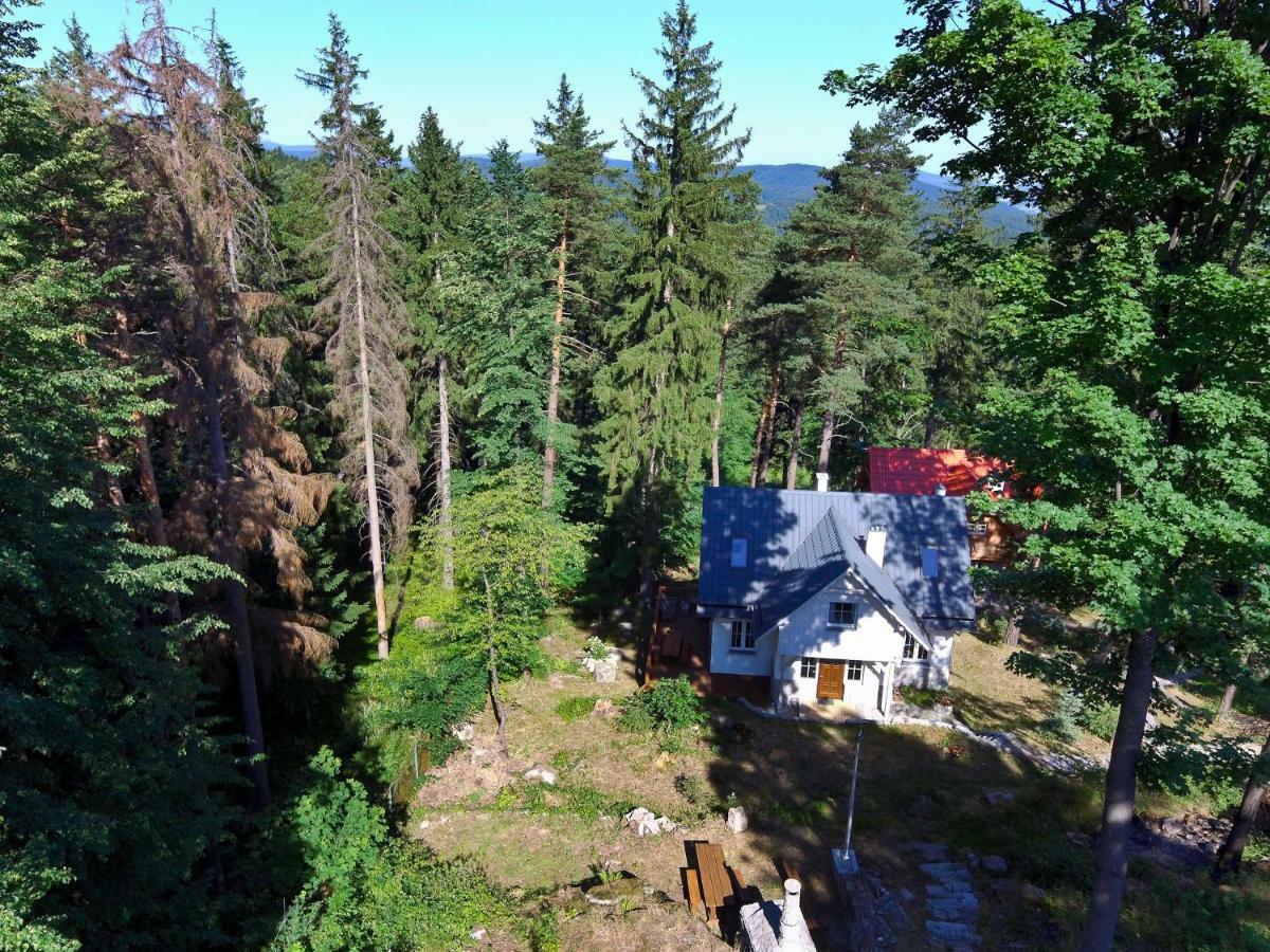 Górski Domek koło Karpacza- Apartamentuj Zewnętrze zdjęcie